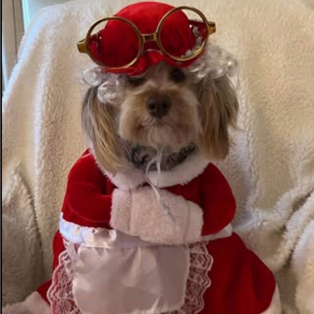 Santa, Mrs Claus and Reindeer Costume for Dogs - Red and White